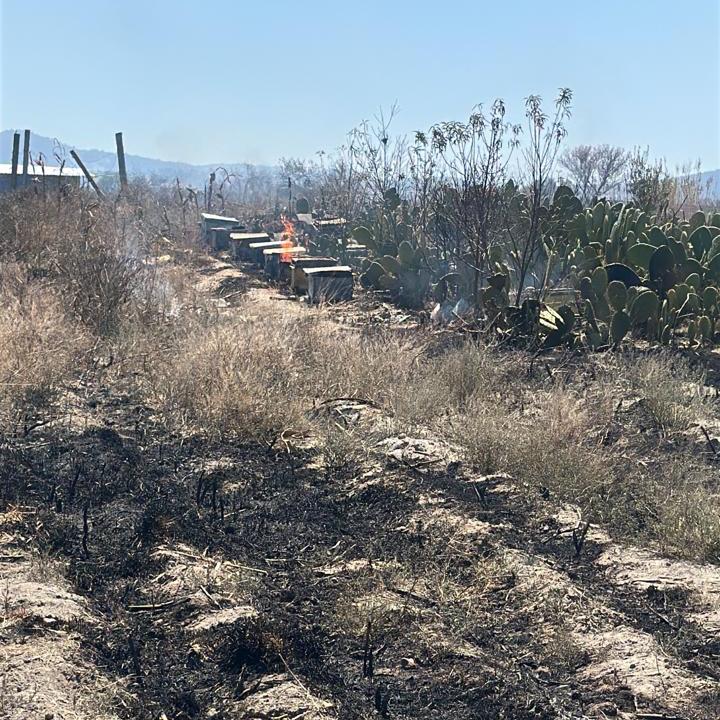 Incendio en parcela afecta apiario; Protección Civil de Ixtenco logra&nbsp;controlarlo