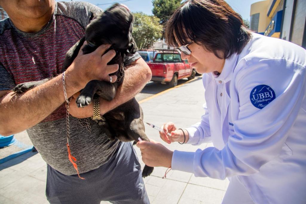 En Apizaco ya estamos brindando los servicios gratuitos de IMSSpirando Bienestar para toda la ciudadanía.